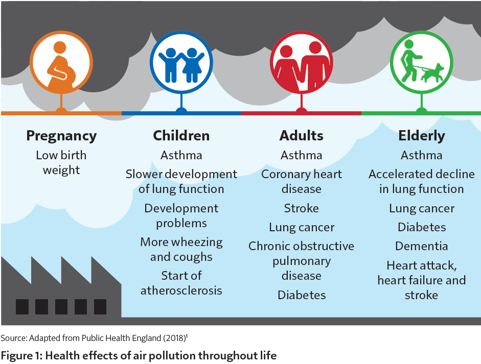 Graphic of pollution harms 2022 Report from Professor Chris Whitty